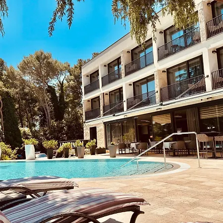 Otel Arupinum 4*