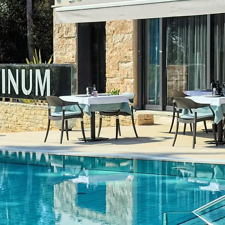 Hotel Arupinum