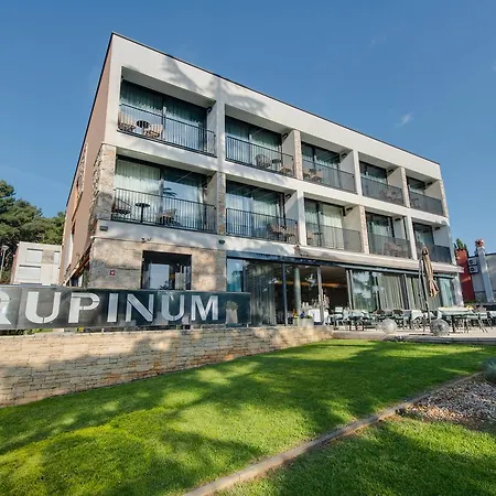 מלון Arupinum רוביני
